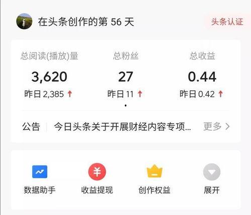 现在头条有什么收入,揭秘当下热门收入项目