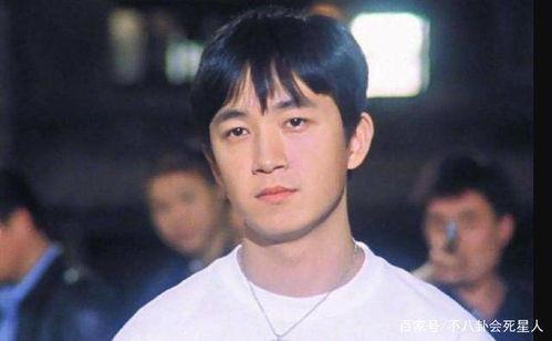 头扁的男明星,揭秘他的独特风采