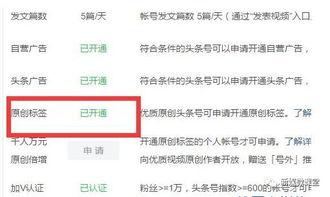 头条号基础设置是什么,基础设置全攻略，助你轻松开启自媒体之旅