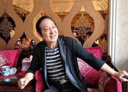 王林明星,星光璀璨的影视新星，演绎人生百态