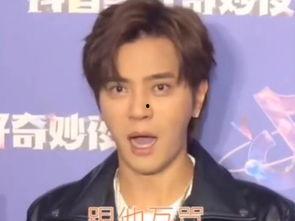 明星如何对付网络暴力,智慧应对网络暴力的策略解析