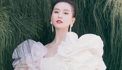 哪些明星属于汉族的,揭秘汉族明星风采