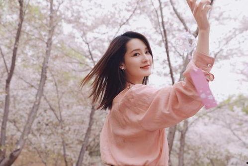 明星樱花下,浪漫邂逅与璀璨瞬间