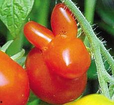 歪瓜裂枣吃瓜,揭秘娱乐圈那些事儿