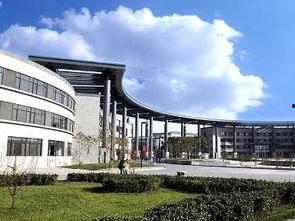 天津师范大学明星,璀璨校园之星的闪耀时刻