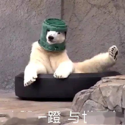 吃瓜摸鱼沙雕头像,趣味头像大集合