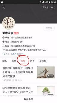 头条评论杜子建,揭秘其独特观点与影响力