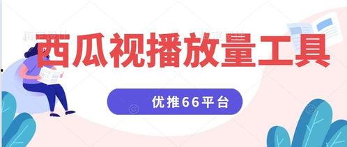 头条视频有推送没播放量,揭秘内容传播的困境