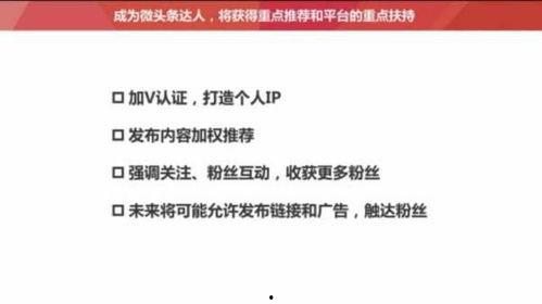 头条粉丝多少才算够,头条粉丝数超过10万才算够生成一个概述文章副标题。