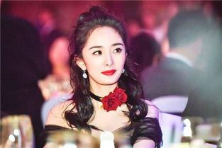 黑粉和明星,揭秘明星背后的真实故事