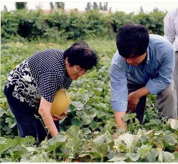 瀚林院吃瓜,揭秘古代宫廷的吃瓜盛况