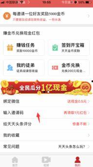 头条填写邀请码视频,跟随视频探索神秘代码背后的秘密