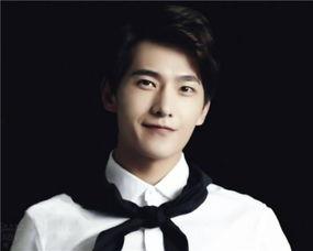 明星 年收入,财富背后的辛酸与辉煌