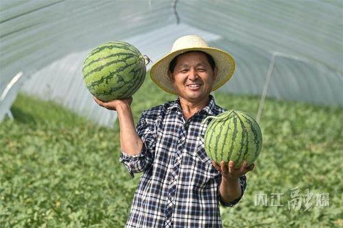 川职吃瓜快来看,吃瓜群众速来围观