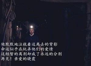 头条平凡的世界语音,一部描绘普通人生奋斗的史诗